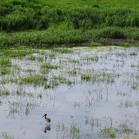 Pensionat Gaestehaus Am Elberadweg By Alte Fischerkate 4*