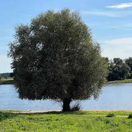 Gaestehaus Am Elberadweg By Alte Fischerkate Modlich