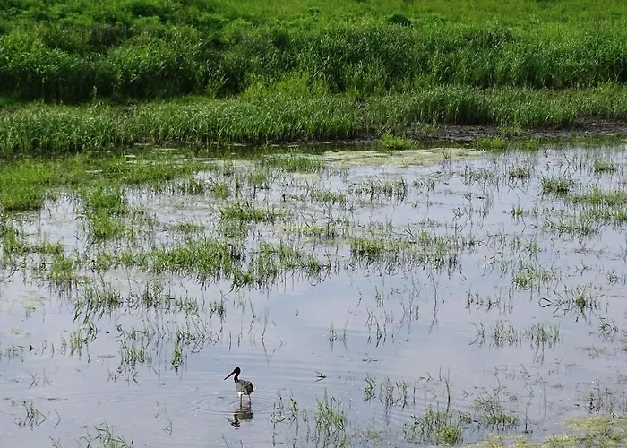 بيت ضيافة Gaestehaus Am Elberadweg By Alte Fischerkate 4*