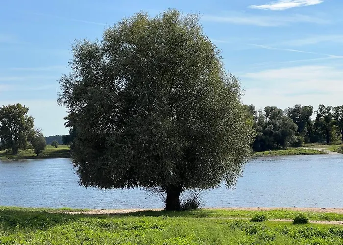 Gaestehaus Am Elberadweg By Alte Fischerkate Modlich